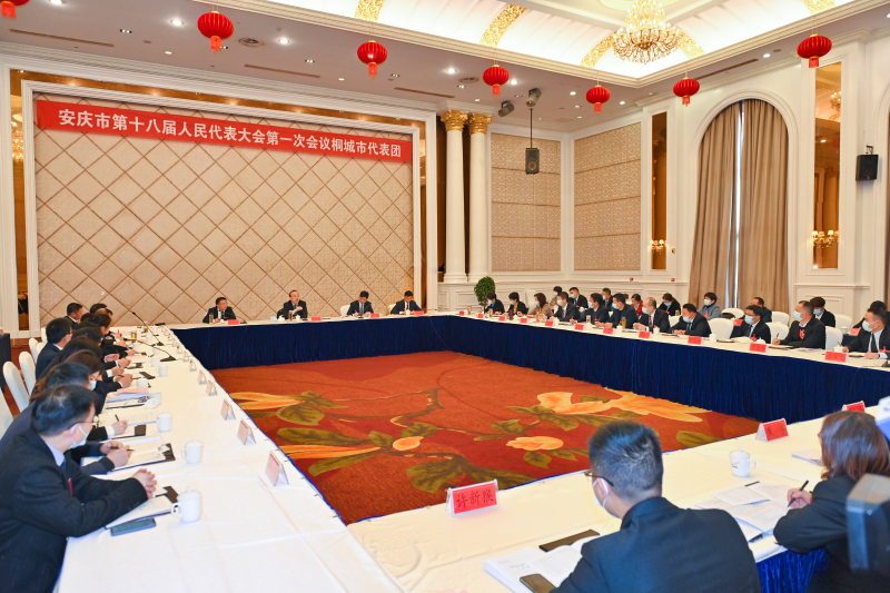 張祥安在參加桐城市代表團審議時強調 把加快發展擺在第一位 盡快重返