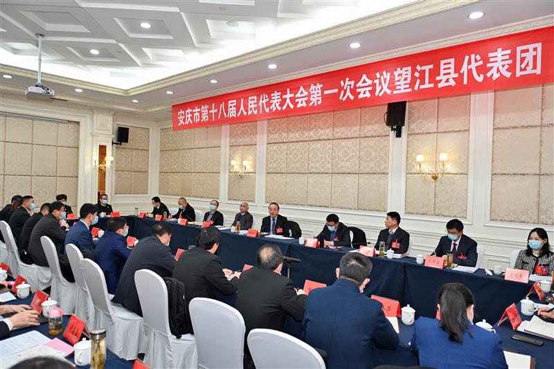 張祥安在參加望江縣代表團審議時強調 一心一意謀發展聚精會神抓黨建