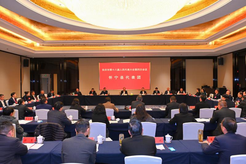 張祥安在參加懷寧縣代表團審議時強調 挑大梁 擔重任 走在前 努力為全